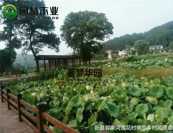 91视频官网風雨廊